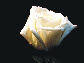 wp514c944d_1b.jpg